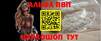 jwh Кингисепп