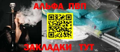 jwh Кингисепп