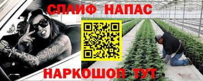 хмурый Кинель