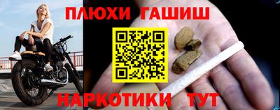 jwh Кингисепп