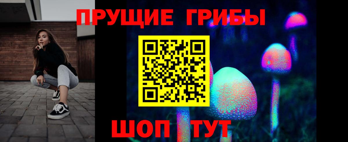 Псилоцибиновые грибы GOLDEN TEACHER  Вход с VPN  Карачаевск 